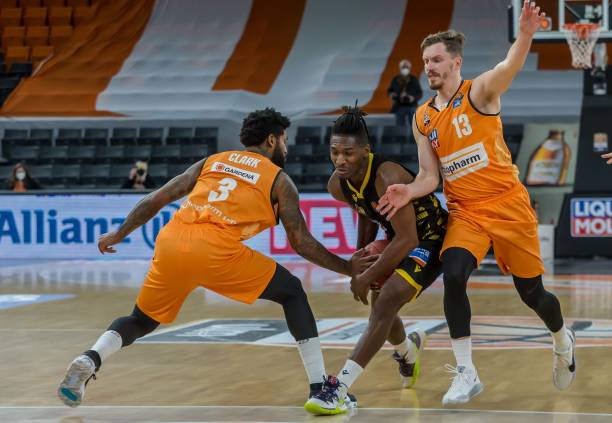 的长青树 的长青树